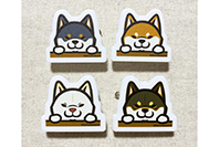 ひろわっさん