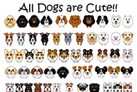 ABCDOGS