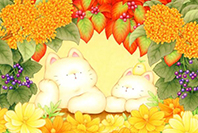 もちもちねこの物語