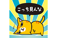まめまめ工房秘密基地