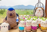 Wombat Craft Studio 