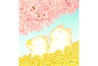 もちもちねこの物語