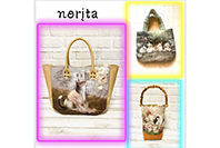 norita