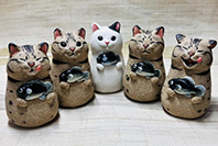 tajicco