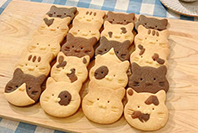 Cafe＆Barまたたび