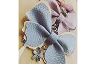 apipi craft