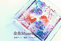 金魚Museum