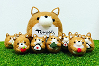 TUMUGU