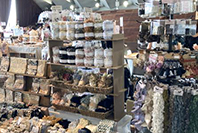 WISTARIA LACE&time+
