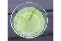 森井ファームのお茶