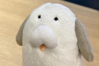 ふわんわん