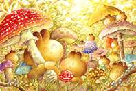 けせらんうさらん