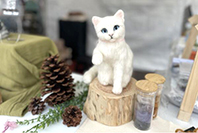 小さな羊毛フェルト屋さんらんにゃん
