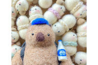 Wombat Craft Studio 