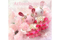 Artemis moon