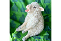 PECORA・DOLLY