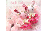 Artemis moon