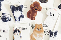 もふちび×masana shop×nantene.