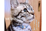 merci