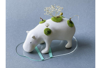GREENHIPPO