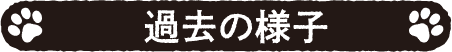 過去の様子
