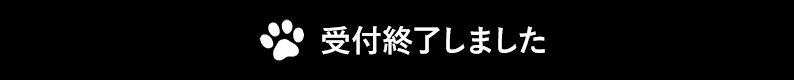 受付終了しました