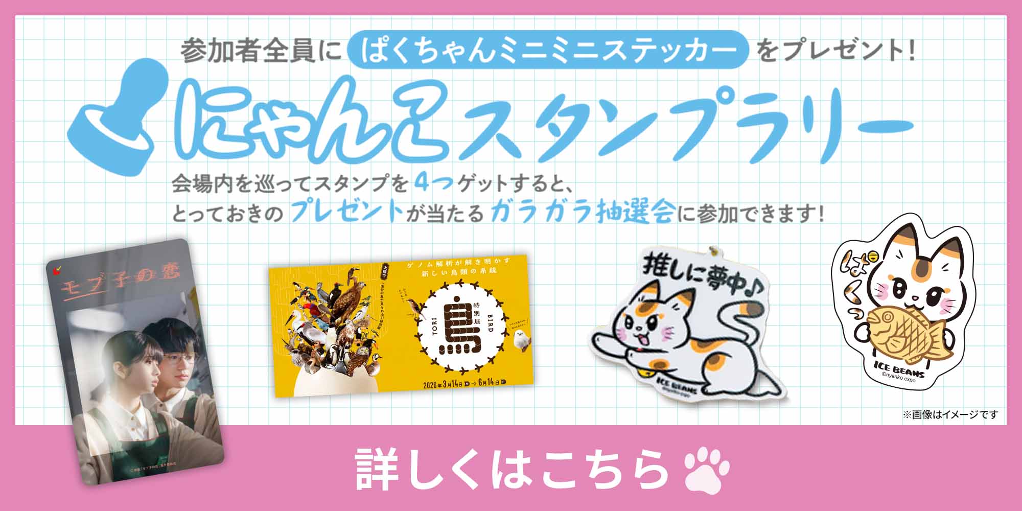 参加者全員にぱくちゃんミニミニステッカーをプレゼント！ にゃんこスタンプラリー 詳しくはこちら ※画像はイメージです