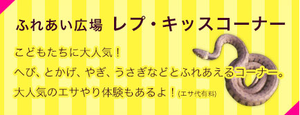 ふれあい広場 レプ・キッスコーナー