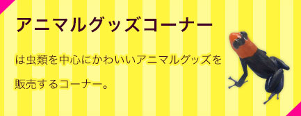 アニマルグッズコーナー