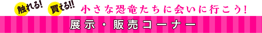 小さな恐竜たちに会いに行こう! 展示・販売コーナー