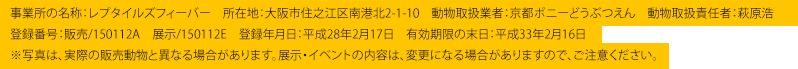 事業所の名称：レプタイルズフィーバー　所在地：大阪市住之江区南港北2-1-10　
動物取扱業者：京都ポニーどうぶつえん　動物取扱責任者：萩原浩 登録番号：販売/150112A　展示/150112E　登録年月日：平成28年2月17日　
有効期限の末日：平成33年2月16日※写真は、実際の販売動物と異なる場合があります。展示・イベントの内容は、変更になる場合がありますので、ご注意ください。
