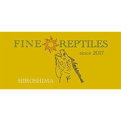 FINEREPTILES（ファインレプタイルズ）