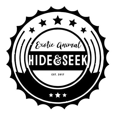 Hide&Seek