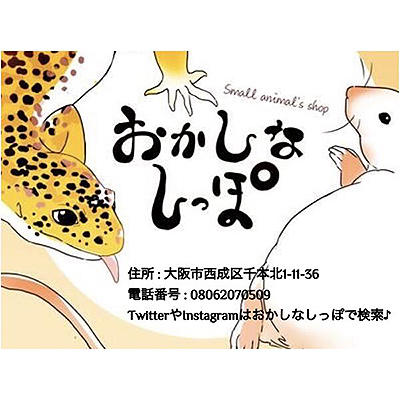 おかしなしっぽ