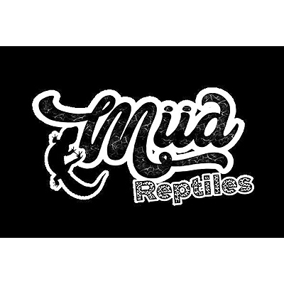 Miia Reptiles