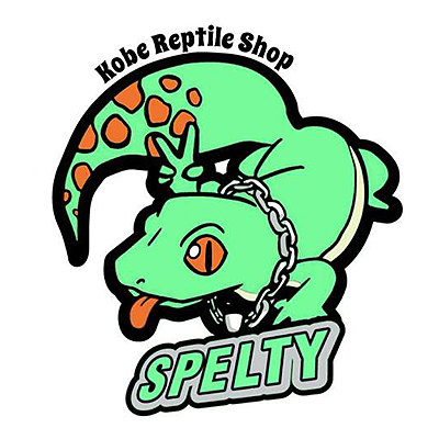 スペルティー