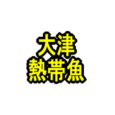 大津熱帯魚