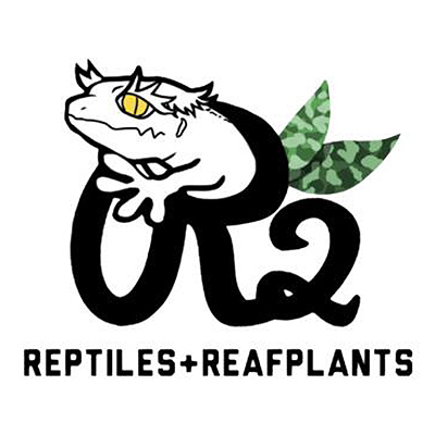 R2 REPTILES