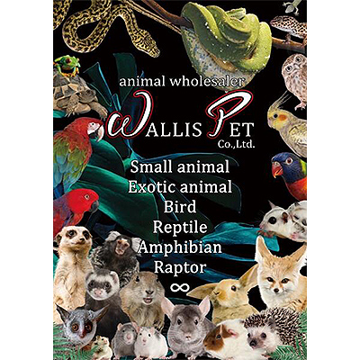 WALLIS PET