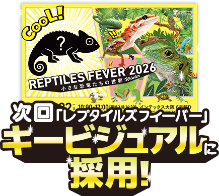 次回キービジュアルに採用!