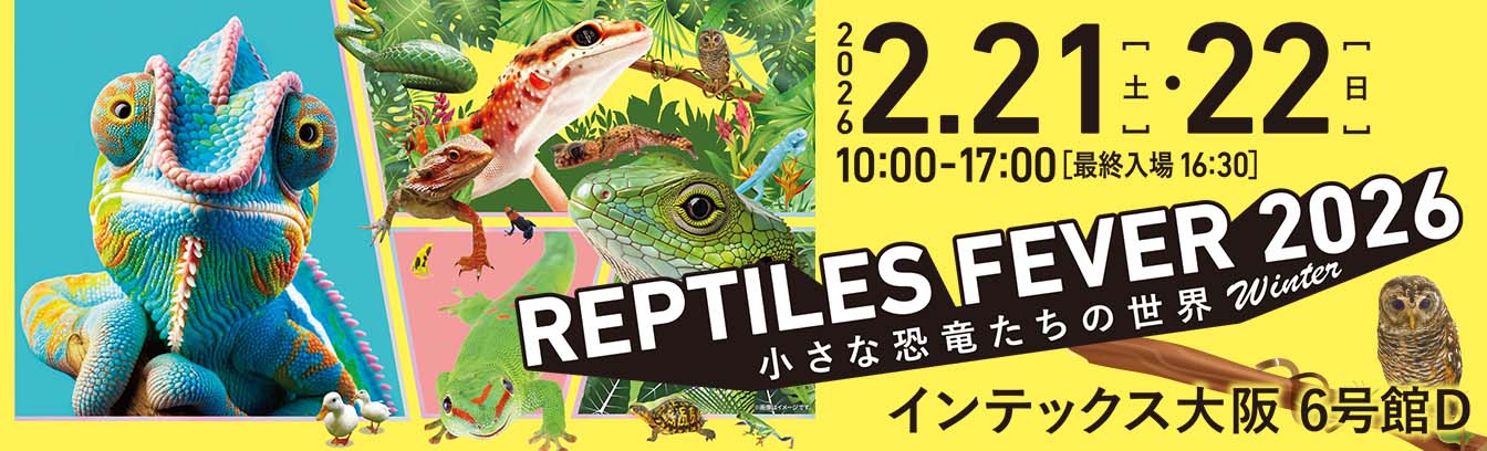 レプタイルズフィーバー 2026 Winter
