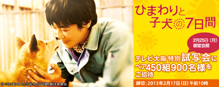 �f��u�Ђ܂��Ǝq���̎����ԁv�e���r�����ʎ��ʉ�Ƀy�A450�g900���l�������ҁI ���؁F2013�N2��17���i���j�ߑO10��