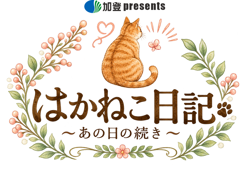 はかねこ日記
