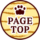 PAGE TOP