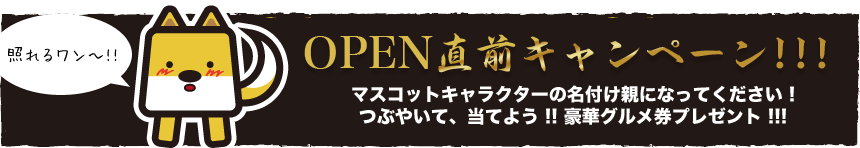 OPEN直前キャンペーン!!!
