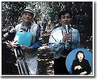 大阪南港野鳥園