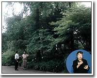 長居植物園・自然史博物館