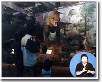 恐竜大陸２００２