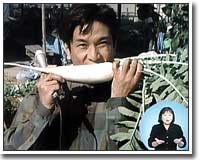 なにわ伝統野菜