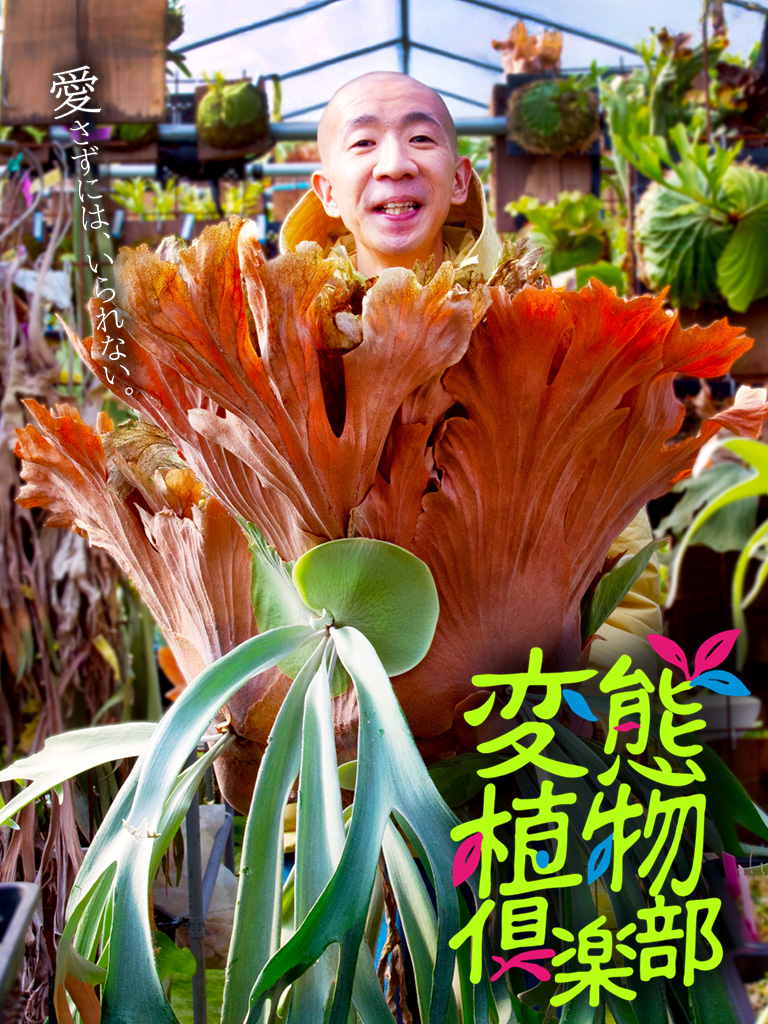 変態植物倶楽部 列島縦断！ひょうろくの未確認変態は何処に